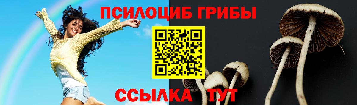 Псилоцибиновые грибы MAGIC MUSHROOMS Лобня